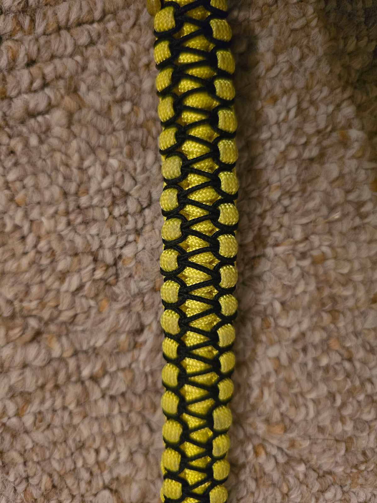 Stitched Cobra/Solomon Paracord Bracelet